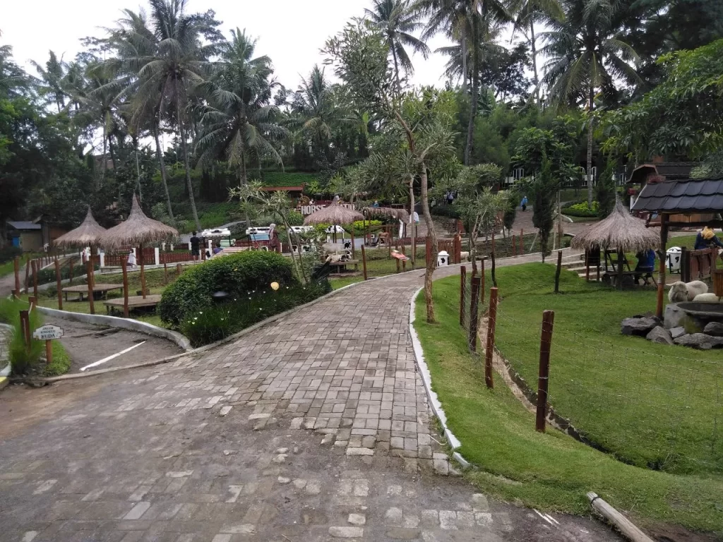 area peternakan di Dairy Land Mini Zoo - wisata Cimory On The Valley Semarang Bawen