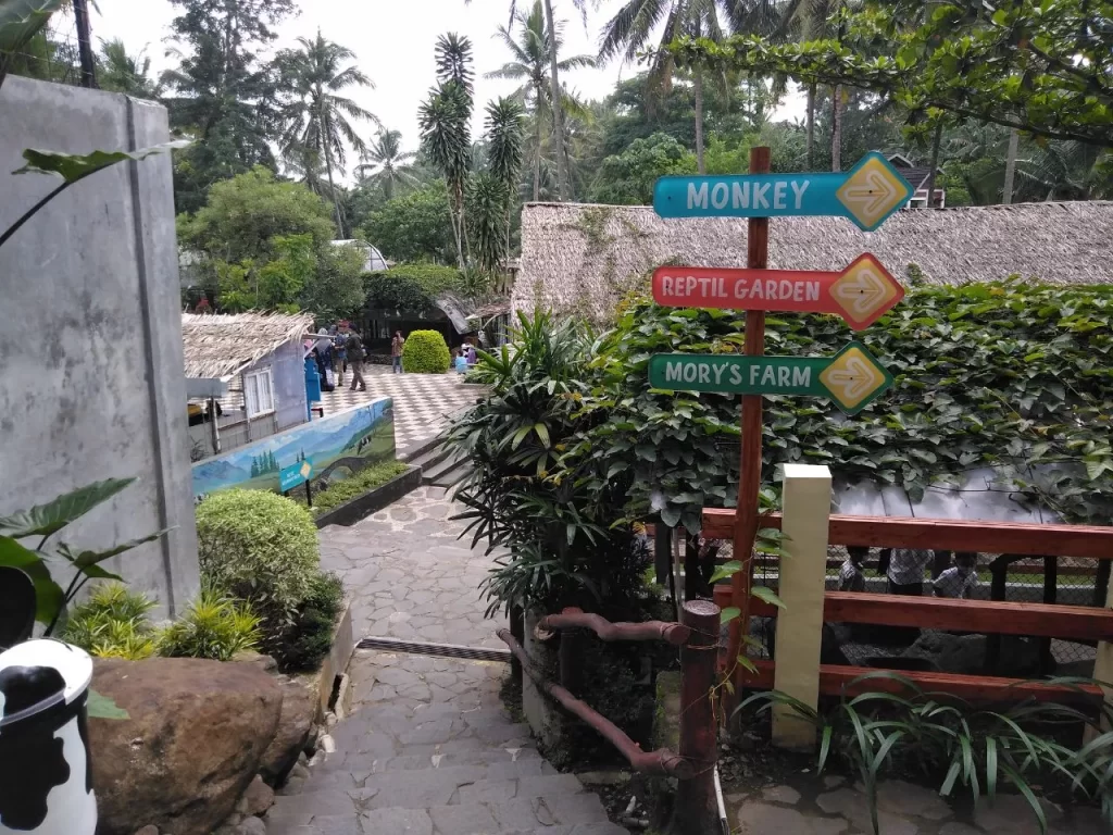 jalan masuk menuju Dairy Land Mini Zoo - wisata Cimory On The Valley Semarang Bawen
