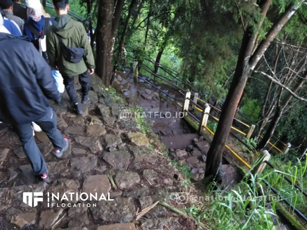 jalur pendakian anak tangga jalan setapak ke puncak wisata Bukit Sikunir Dieng