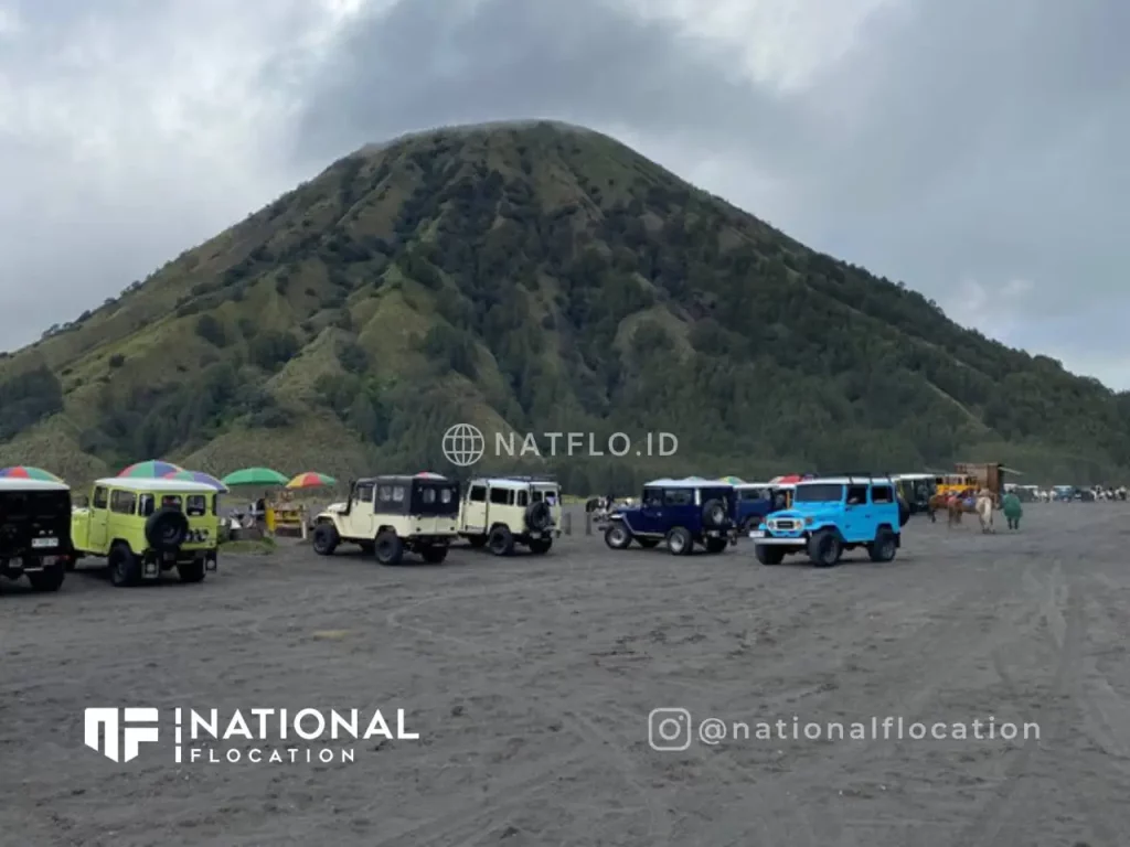 11 jeep wisata tour Gunung Bromo