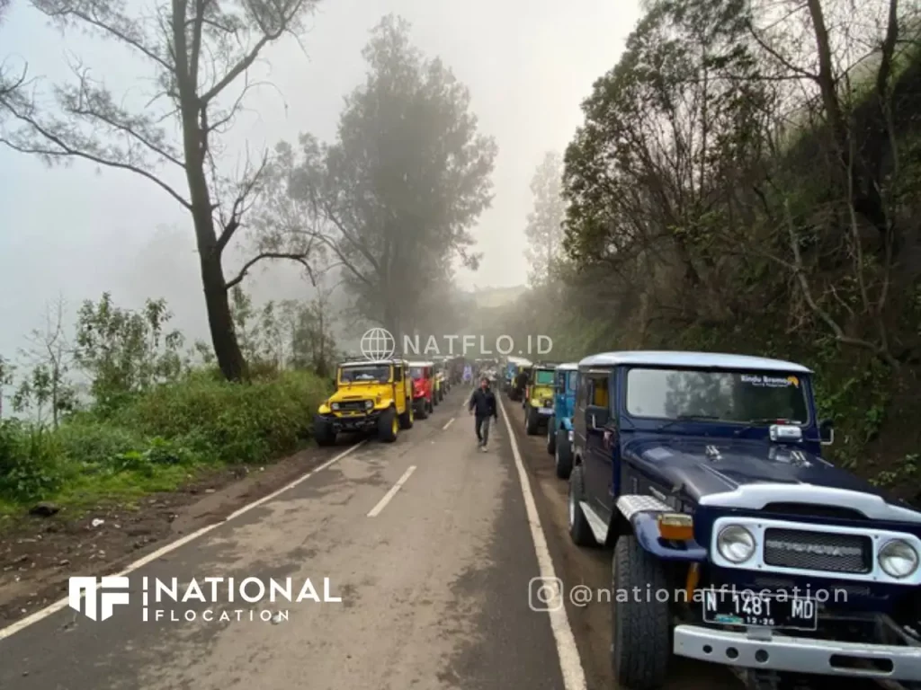 6 jeep wisata Bromo di Bukit Kingkong Hill Penanjakan Pananjakan - destinasi tempat wisata dekat Lava View Lodge Bromo